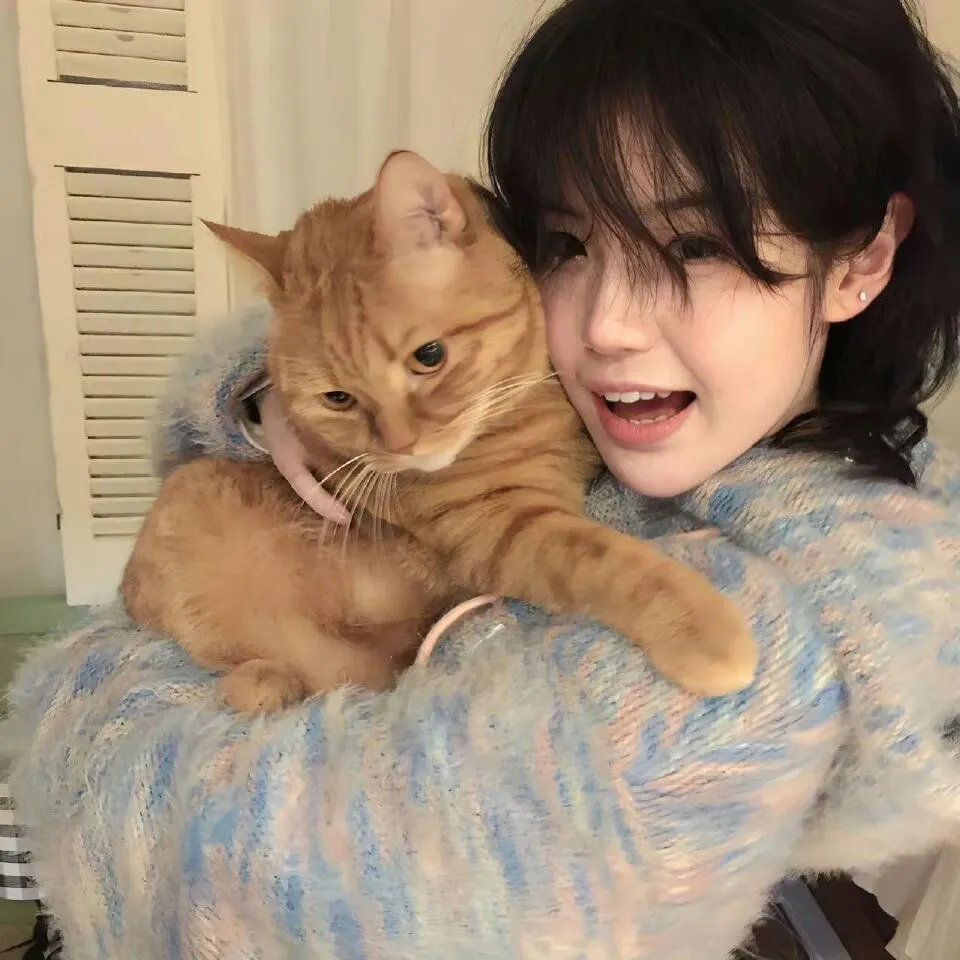 医妃傻,王爷爆,互飙演技哈哈笑